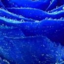 Юлія Ястремська фотография #12 (источник - https://vk.com/id137898182)