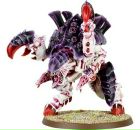 Фотография Сердюка Степана