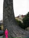 Любця Гаєва фотография #28 (источник - https://vk.com/id136551184)