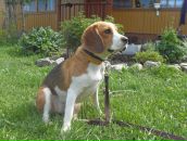 Фотография Рощенко Дарьи