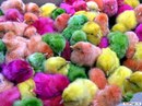 Вікуся Кукуся фотография #50 (источник - https://vk.com/id162592797)