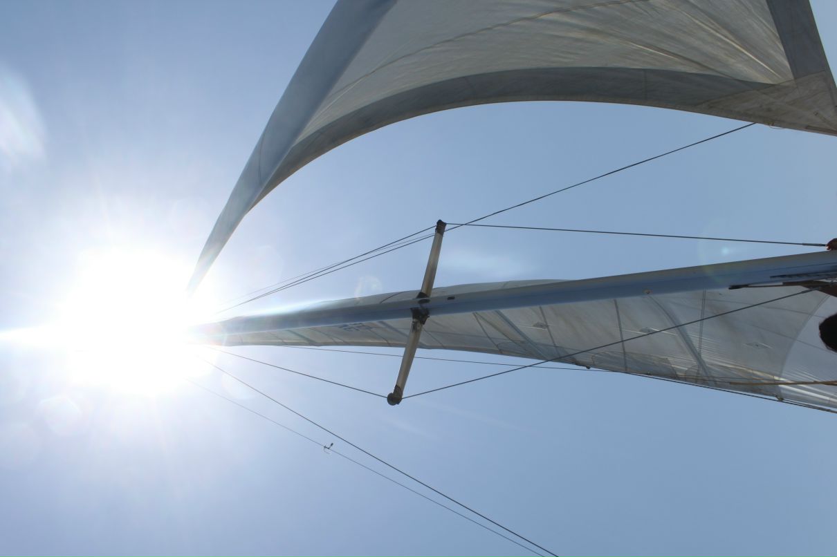 Александра Быстрова фотография #2