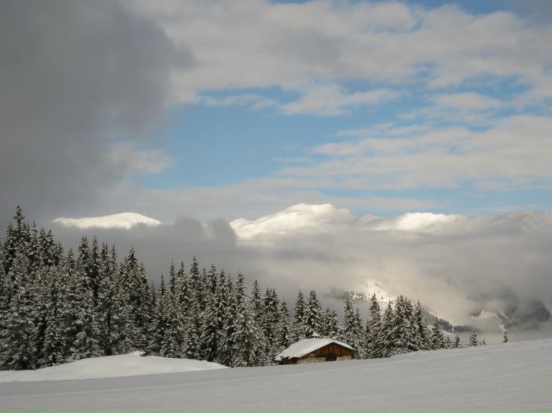 Григорий Поляков фотография #21