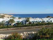 Фотография Косюк Карины