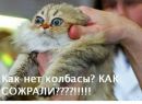 Ванюха :) фотография #9 (источник - https://vk.com/id152061599)