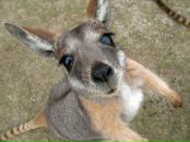 Фотография Пинчука Дмитрия