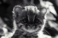 Фотография Струковой Виктории