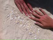 Фотография Караульщикова Антона