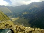 Anastasia Gheceanu фотография #16 (источник - https://vk.com/id28859362)