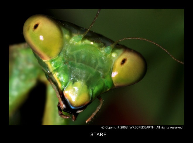 Ivan Andrejev фотография #36