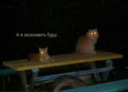 Вовік Халєєв фотография #35 (источник - https://vk.com/id35009331)