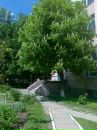 Максім Рокенрол фотография #39 (источник - https://vk.com/id126481592)
