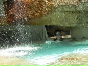 Фотография Яковлевой Светланы