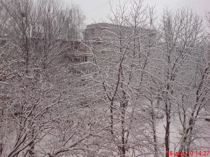 Дмитрий Филосовский фотография #32