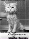 Фотография Азизова Олега