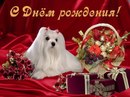 Софія Іванків фотография #6 (источник - https://vk.com/id162318513)