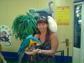 Фотография  