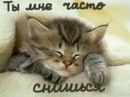Софа Чернишова фотография #25 (источник - https://vk.com/id151595071)