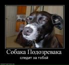 Сергій Чалий фотография #44 (источник - https://vk.com/id23832870)