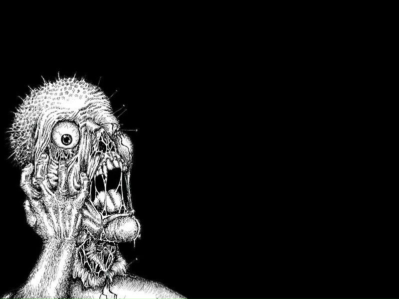 Dimmy Turtle фото №8