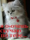 Віталіна Піддубна фотография #17 (источник - https://vk.com/id120036874)