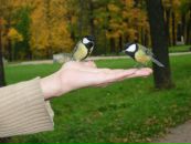 Фотография Писарева Алексея
