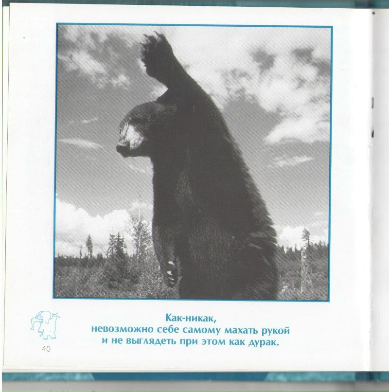 Роман Сербененко фотография #21