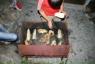 Rarrr D`Ark фотография #38 (источник - https://vk.com/id2490928)