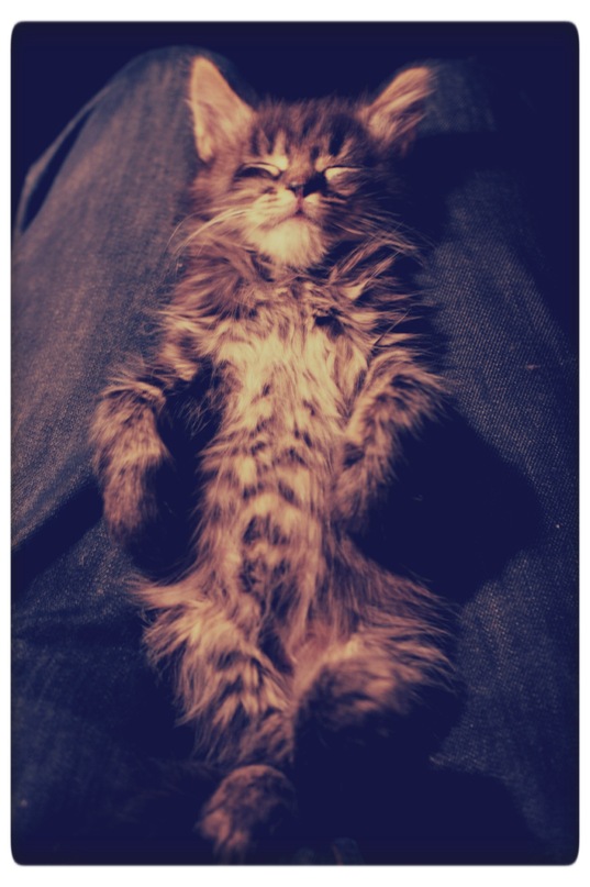 Vereshagin Sandro фотография #48