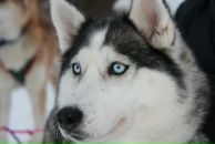 Фотография Кочетковой Анастасии