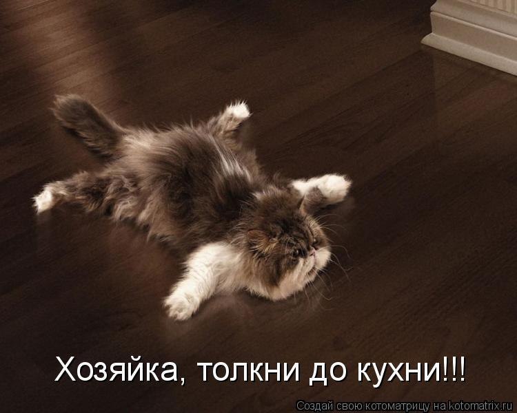 Жозефина Тархова фотография #20