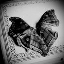 Фотография Maar Dora