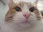 Фотография Крестовой Ольги