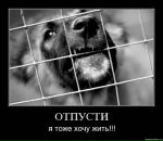 Володимир Біляк фотография #14 (источник - https://vk.com/id62535430)