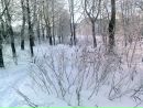 Наталія Кірюхіна фотография #38 (источник - https://vk.com/id142137412)