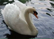 Фотография Пономаревой Анны