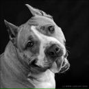 Фотография Балуевой Екатерины