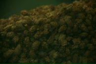 Олег Неїжкаша фотография #31 (источник - https://vk.com/id1581159)