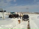 Світлана Величенко фотография #12 (источник - https://vk.com/id134782673)