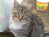 Фотография Кривоконевой Елены