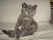 Фотография Костиной Светы