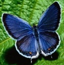 Наталия Томко фотография #6 (источник - https://vk.com/id81306460)