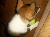 Лайма Ремінська фотография #30 (источник - https://vk.com/id108747419)