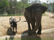 Илья Литаврин фотография #44 (источник - https://vk.com/id2893297)