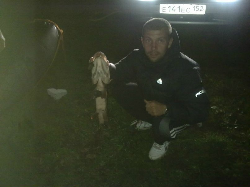 Дмитрий Львов фотография #39