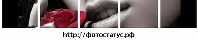 Богдана Форостян фотография #32 (источник - https://vk.com/id132615657)