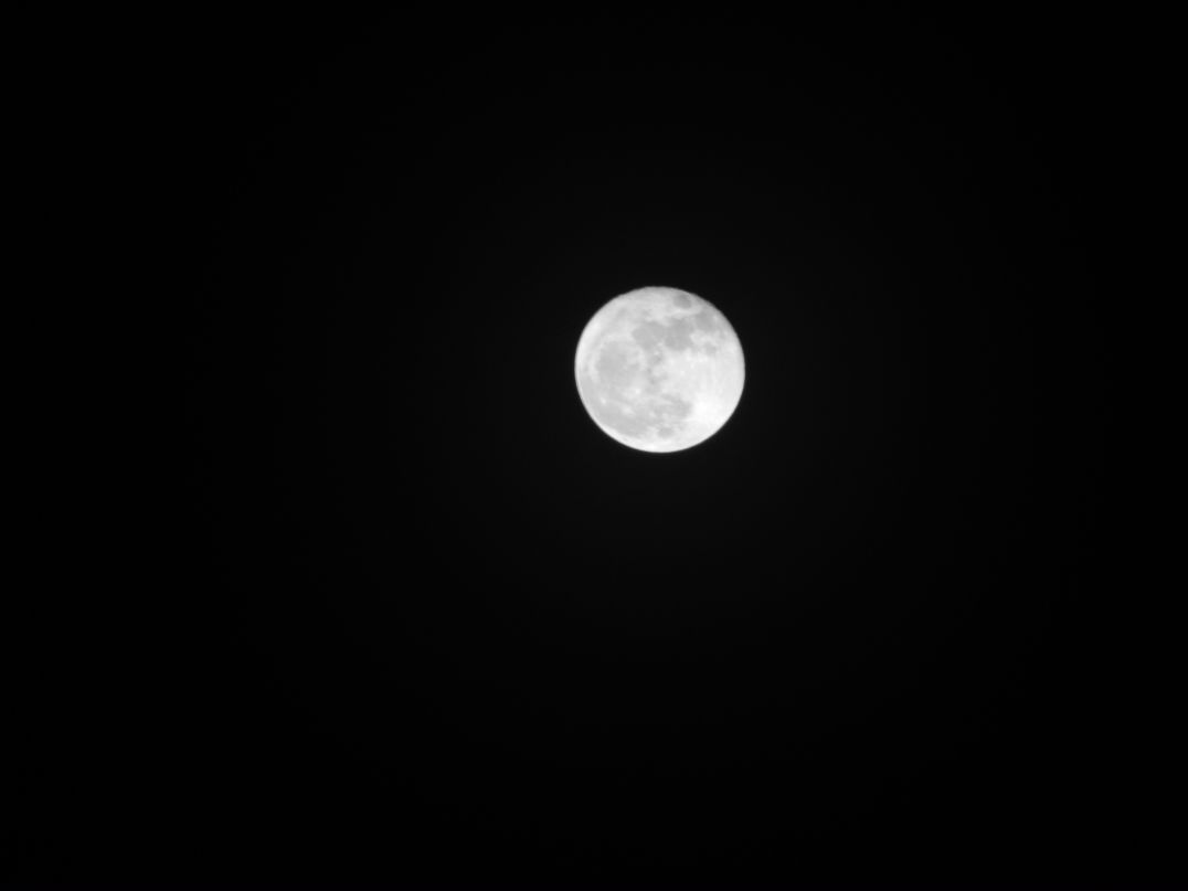 Den Прудников фотография #2