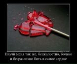 Фотография Йога Трайбл Любаши