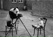 Фотография Сальникова Андрея