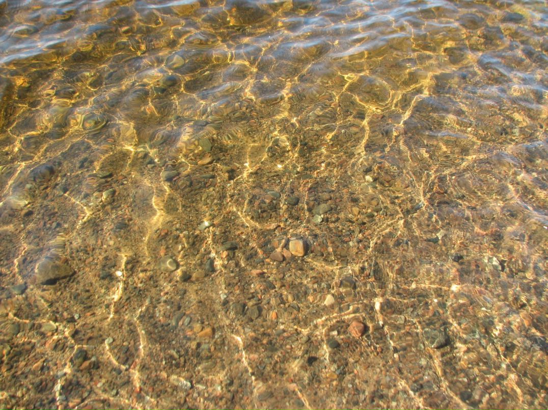 Николай Савельев фотография #17